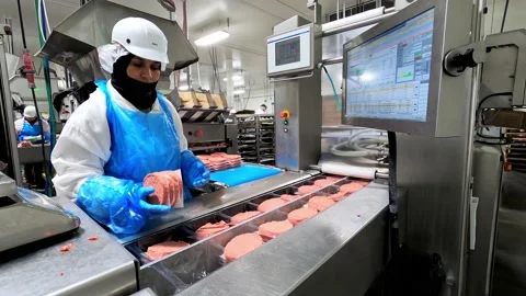 Timelapse of a blue collar laborer working on a burger patty processing Stock Footage 226346115