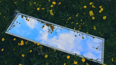 Timelapse of blue sky and clouds reflected in a broken mirror in a flower meadow Stock Footage 129912774