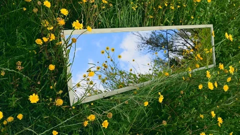 Timelapse of blue sky and clouds reflected in a broken mirror in a flower meadow Stock Footage 129916049