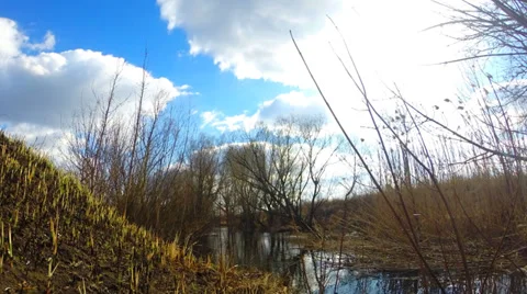 Timelapse of  Blue Sky and River Flow with Zoom Effect. Sunny Day. Vídeos de archivo 36879113