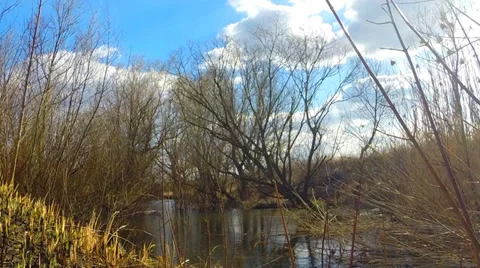 Timelapse of  Blue Sky and River Flow. Zoom Tracking. Vídeos de archivo 36879120
