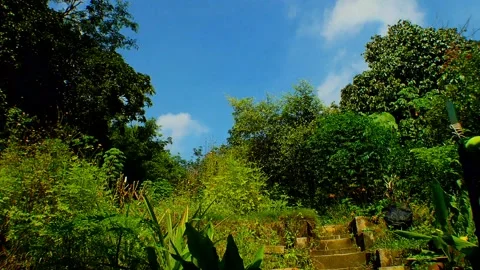 The timelapse of blue sky and tree at backyard at rural area house Stock Footage 147518139