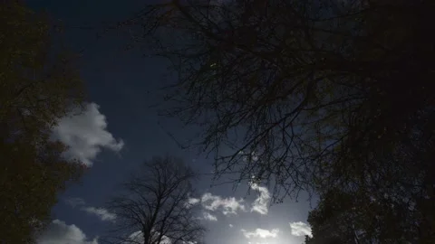 Timelapse of blue sky and white fluffy clouds in Autumn Stock Footage 166477647