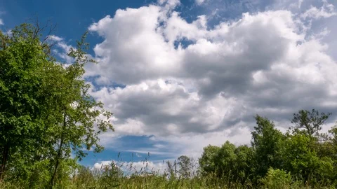 Timelapse blue sky with clouds and trees Stock Footage 111512102