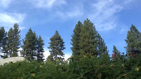 Timelapse of Blue Sky with Clouds Video stock 42202184