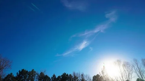 Timelapse of Blue Sky over Trees with Plane Streaking By Video stock 83331834