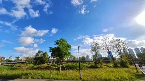 Timelapse blue sky in park Stock Footage 170636042