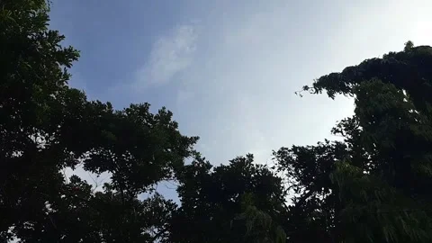 Timelapse of the blue sky view full of clouds Stock Footage 297530297