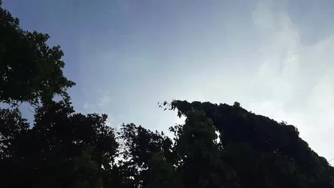 Timelapse of the blue sky view full of clouds Stock Footage 297530307