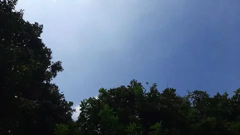 Timelapse of the blue sky view full of clouds Stock Footage 297530309