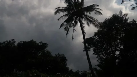 Timelapse of blue sky with white cloud become dark cloud Stock Footage 236009603