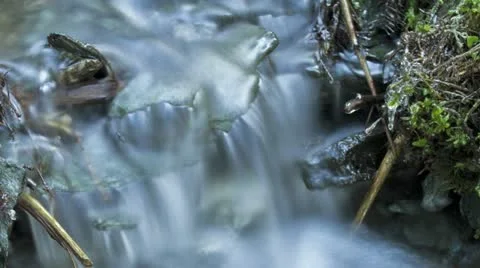 Timelapse of blurred waterfall in a small creek Vídeo Stock 10804756