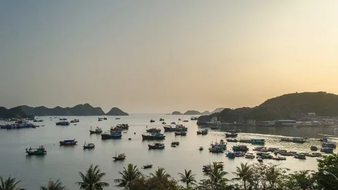 Timelapse of boats at Cat Ba harbor, Vietnam during the sunset Stock Footage 90776103