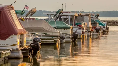 Timelapse of Boats Docked at Sunset Stock Footage 81355169
