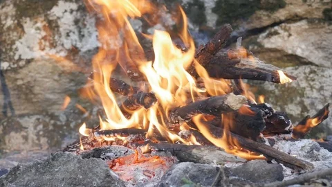 Timelapse of a bonfire in the spring forest. Stock Footage 128412751