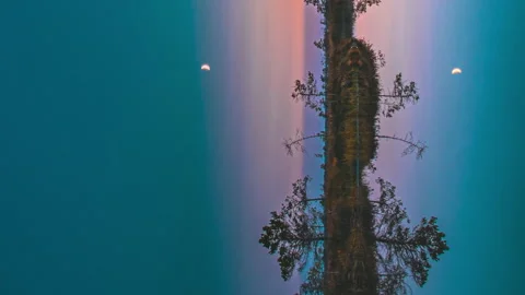 Timelapse. Bright Dramatic Trails Of Stars And Meteors. Stars Effect In Sky Stock Footage 269313128