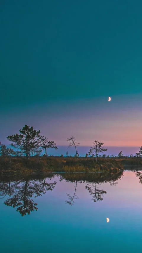 Timelapse. Bright Dramatic Trails Of Stars And Meteors. Stars Effect In Sky 스톡 동영상 270311510
