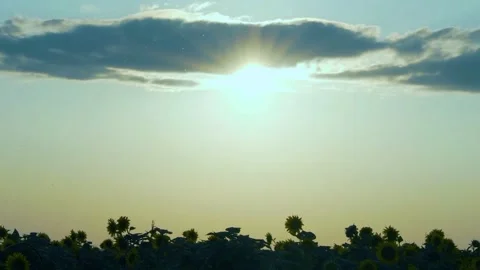 Timelapse of the Bright Shining Sun Yellow Blue Sky Cumulus Cloud at Sunset in a Stock-Footage 324890140
