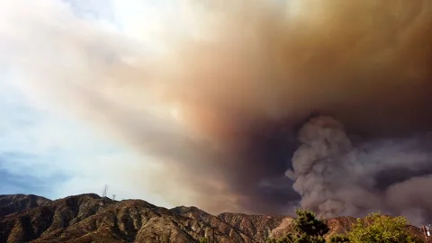 Timelapse of Brush Fire Smoke Stock Footage 137534794