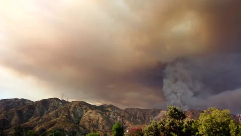 Timelapse of Brush Fire Smoke Stock Footage 137535974