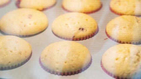 Timelapse bun baking in electric oven close up Pastry production process Stock Footage 272449588