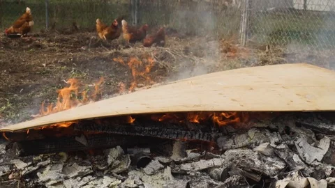 Timelapse buring sheet of plywood B Stock Footage 92151621
