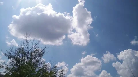 Timelapse, bush in the foreground, white clouds fly across the sky Stock Footage 130769987