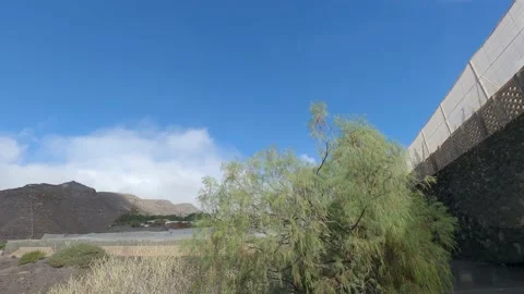 Timelapse with a bush shaken by the wind with clouds passing by in a spring day. Stock Footage 151912824