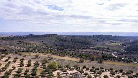 Timelapse Campo Nubes / Timelapse clouds field olive Vídeo Stock 165744971