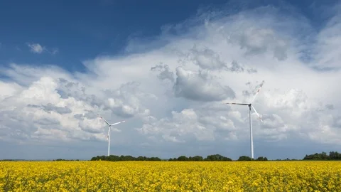 Timelapse - Canola fields and wind turbines Video stock 109066745