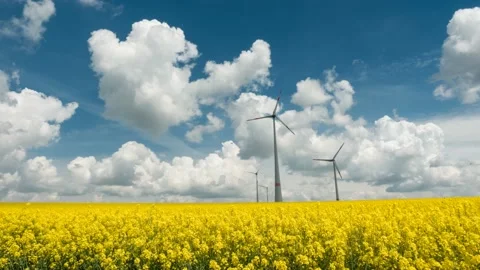 Timelapse - Canola fields and wind turbines Video stock 155188110