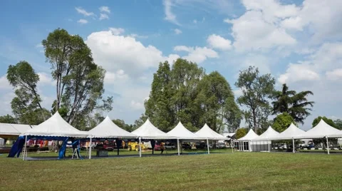 Timelapse Canopy and fast cloud Stock Footage 40016392