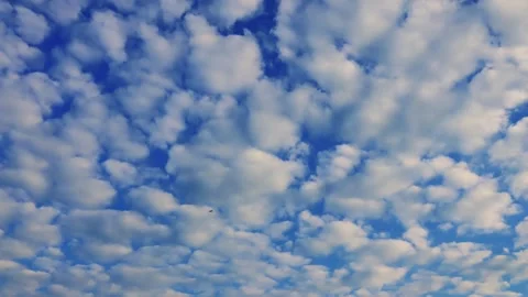 Timelapse captures cloud, fluffy, blue, sky, cumulus dance. Summer showcases Video stock 265177877