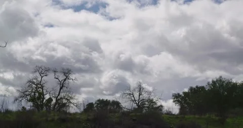 Timelapse captures clouds over oak trees in California Stock Footage 329279196