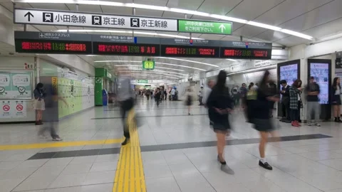 Timelapse captures commuters moving through busy train station interior in Stock Footage 317545532