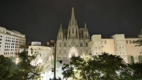 Timelapse - Cathedral Barcelona Stock Footage 81384253