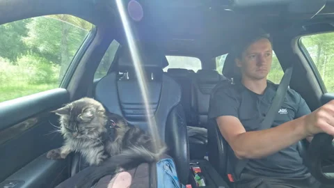 Stock video of driving