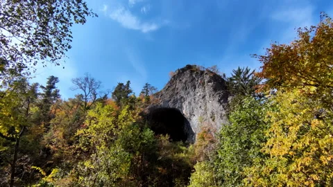 Timelapse of Cave Discovered in the Heart of a Forest Stock Footage 266812268