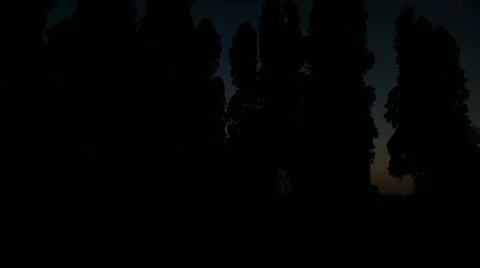 Timelapse cemetery cross 스톡 동영상 11555887
