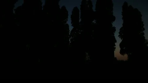 Timelapse cemetery cross Video stock 11605582