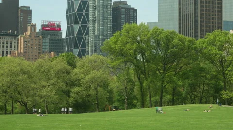 Timelapse central park with buildings Video stock 54193627