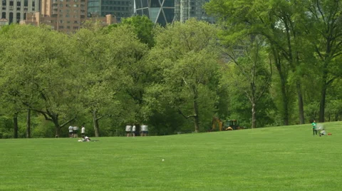 Timelapse central park Video stock 54193617