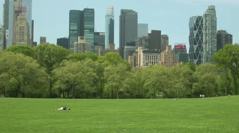 Timelapse central park Video stock 54193648