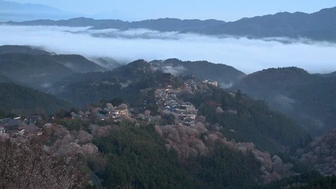 Timelapse, Cherry Blossoms In Mount Yoshino, Nara Prefecture, Japan Stock Footage 101034569