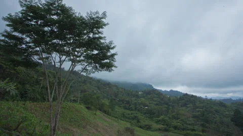 Timelapse in Chiapas, Mexico Video stock 43991946