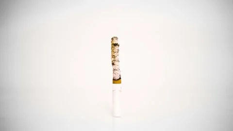 Timelapse cigarette burning down Stock-Footage 130340381