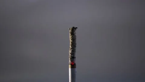 Timelapse cigarette burning down Stock Footage 130340411