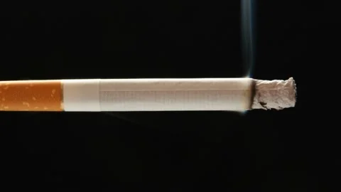 Timelapse of cigarette Stock Footage 115079845
