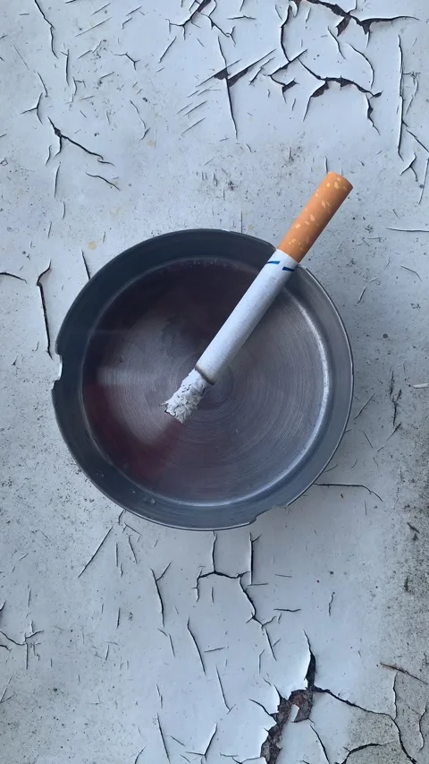 Timelapse of a Cigarette's Dance on a Metal Ashtray Stock Footage 248003314