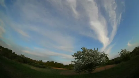 Timelapse of cirrus clouds in the sky Stock Footage 201962820